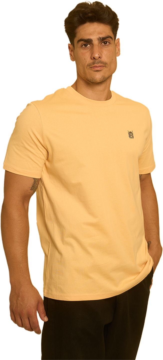 CAMISETA REGULAR NISP