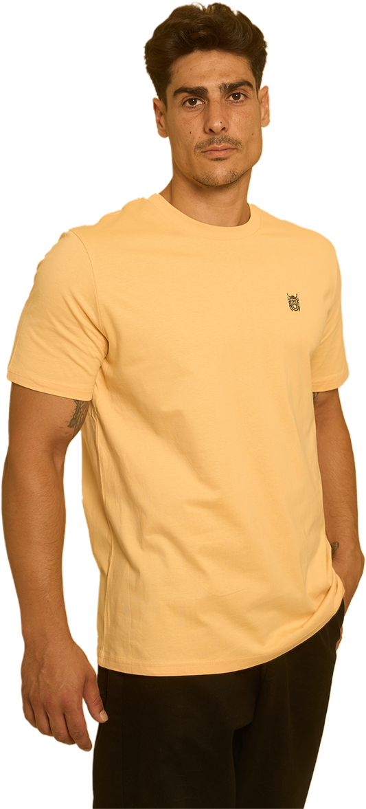 CAMISETA REGULAR NISP